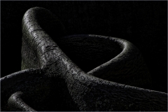 Phil-Levy-Roots-Sep-2022-Digital-Mono-Salon-First-Place