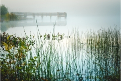 henry-hernandez-Morning-Fog-At-helmetta-Lake-OCT-2022-Digital-Color-Salon-3rd-Place