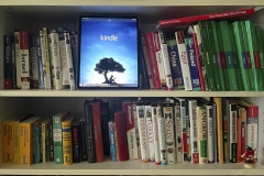 Martin-Sicular-Evolution-Digital-Color-Dec-2023-Advanced-Medal