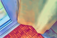 Patricia-Hart-Zackman-Wipe-Your-Feet-Sept-2023-Digital-Color-Advanced-First-Place