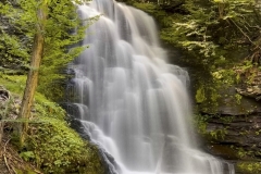 Anoop-Srivastava-Bushkill-Bridalvail-Falls-Sept-2023-Digital-Color-Beginner-Award