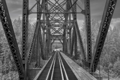 Barbara-Riggio-Trestle-Digital-Mono-Mar-2024-Special-Begins-with-T-Beginner-Award