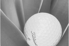 Mannie-Green-Titleist-In-The-Rough-April-2024-Digital-Mono-Apr-2024-Beginner-Award