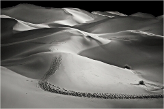 Alan-Bogard-Dunes-May-2024-Digital-Mono-Master-Award