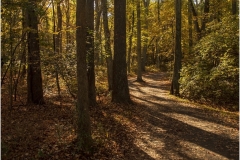 Bob-Dowd-Long-Shadows-Sept-2023-Digital-Color-Master-Award