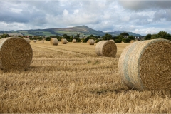 Mark-Schwartz-Scotland-countryside-Sept-2023-Digital-Color-Master-Award