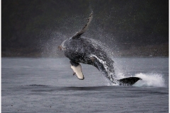 Eadie-Fuentes-BREACH-Sept-2023-Digital-Color-Salon-Award