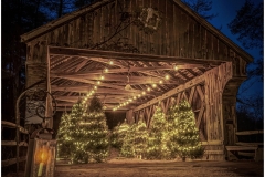 Eadie-Fuentes-Christmas-Tree-Barn-May-2024-Digital-Color-Salon-Award