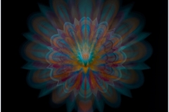 Eadie-Fuentes-Zoom-Bursting-with-Love-Nov-2023-Digital-Color-Salon-Abstract-2nd-Place