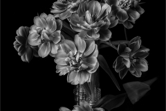 Lilia-Maloratskiy-Shadows-and-Petals-Tulips-in-Black-and-White-Digital-Mono-Mar-2024-Special-Begins-with-T-Salon-Second-Place