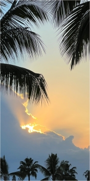 Mannie-Green-Hidden-Sun-Dec-2024-Digital-Color-Advanced-1st-Place