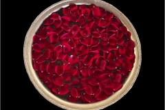 Anupma-Mona-Srivastava-Rose-Petels-March-2025-Digital-Color-Advanced-3rd-Place