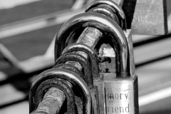 Eric-Arolick-Locks-Sep-2024-Mono-Advanced-Award