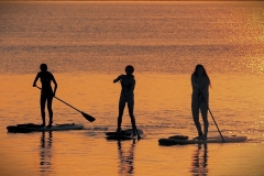 Fred-Decovsky-WhatSup_-Feb-2025-Digital-Color-Advanced-3rd-Place