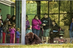 Jim-Kochis-Feels-Like-Someone-Is-Watching-Me-March-2025-Digital-Color-Advanced-1st-Place