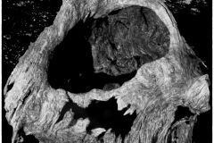 Jim-Kochis-Scary-Stump-1-Jan-2025-Digital-Mono-Advanced-Award