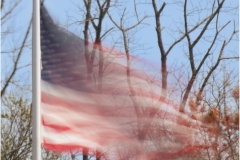 Mannie-Green-Blowing-In-The-Wind-April-2025-Digital-Color-Advanced-Award