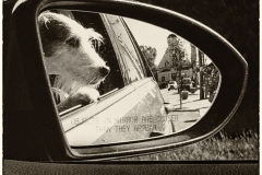 Patricia-Hart-Zackman-OBJECTS-IN-MIRROR-ARE-CLOSER-THAN-THEY-APPEAR-May-2025-Digital-Mono-Advanced-2nd-Place