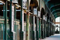 Robert-Kaye-delayed-forever-May-2025-Digital-Color-Advanced-Award