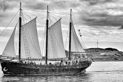 Anoop-Srivastava-Sailboat-Nov-2024-Digital-Mono-Beginner-Award