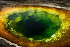 Brian-OLeary-Whats-the-story-Morning-Glory-May-2025-Digital-Color-Beginner-Award