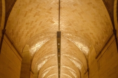 Corey-Chong-Diamond-Hall-Jan-2025-Digital-Color-Beginner-3rd-Place