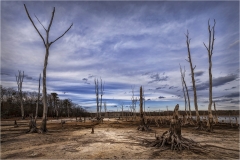 Alan-Bogard-High-Dry-May-2025-Digital-Color-Master-Award