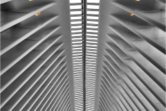 Alan-Bogard-Infinity-Jan-2025-Digital-Color-Master-3rd-Place