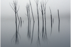 Bob-Dowd-A-Reflective-Morning-April-2025-Digital-Mono-Master-Award