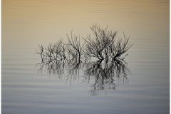 Bob-Dowd-When-Morning-Comes-Jan-2025-Digital-Color-Master-Merit