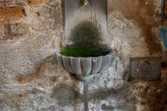 Bogumil-Kozera-Whispers-of-Water-and-Moss.-May-2025-Digital-Color-Master-3rd-Place