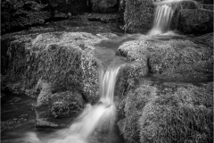 Jerry-Deutsch-Cascade-over-mossy-rocks-April-2025-Digital-Mono-Master-1st-Place