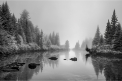 Jerry-Deutsch-Foggy-Morning-May-2025-Digital-Mono-Master-Medal