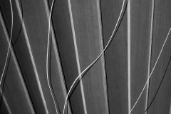 Jerry-Deutsch-Together-Jan-2025-Digital-Mono-Master-Award