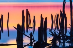 Joe-Ferraro-Explosion-of-Color-April-2025-Digital-Color-Master-Award