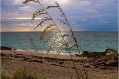 Joel-Goldberg-Serenity-Now-.-Jan-2025-Digital-Color-Master-Award