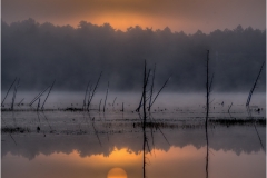 Joel-Goldberg-Sunrise-in-Pinelands-Feb-2025-Digital-Color-Master1st-Place