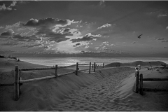 Rich-Despins-Shore-Sunrise-Feb-2025-Digital-Mono-Master1st-Place