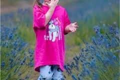 Herbert-Zaifert-In-Advanced-flower-field-May-2025-Digital-Color-Salon-Medal