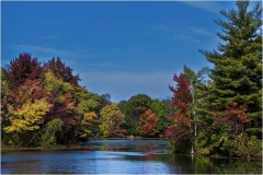 John-Sandstedt-NJFCC-Citation-Early-Fall-Color-at-Dallenbach-Pond-May-2025-Digital-Color-Salon-Award