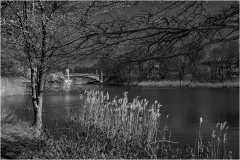 John-Sandstedt-NJFCC-Citation-Seen-at-Barnbrook-Park-May-2025-Digital-Mono-Salon-2nd-Place