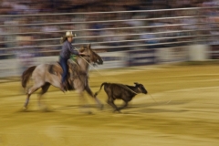 Lorenzo-M.-Ventura-_Hot-Diggity-Doggie_-April-2025-Digital-Color-Salon-Award