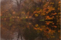 Nancy-Dieker-Autumns-Breath-March-2025-Digital-Color-Salon-2nd-Place