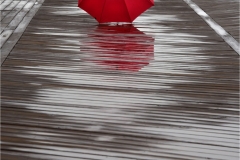 Nancy-Dieker-Lost-on-the-Boardwalk-May-2025-Digital-Color-Salon-2nd-Place