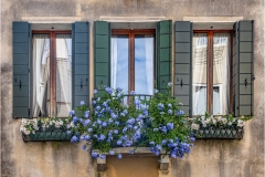 Thomas-Camal-Beautiful-windows-in-Venice-Jan-2025-Digital-Color-Salon-Award