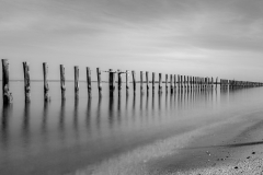 Thomas-Camal-Sticks-April-2025-Digital-Mono-Salon-Award