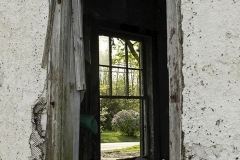 Bernie-Solomon-A-View-with-a-View-Feb-2026-Digital-Color-Theme-Abandon-or-Forgotten-Advanced-Award