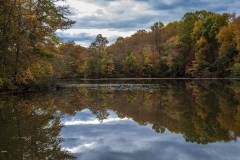 Bernie-Solomon-Tree-Sky-Reflection-Nov-2025-Digital-Color-Reflections-Advanced-Award