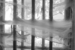 Eric-Arolick-Cobwebs-Feb-2026-Digital-Mono-Theme-Abandon-or-Forgotten-Advanced-Award