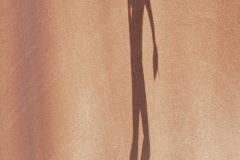 Eric-Arolick-Shadow-at-First-May-2026-Digital-Color-Theme-Shadows-Advanced-Award Eric-Arolick-Shadow-at-First-May-2026-Digital-Color-Theme-Shadows-Advanced-Award